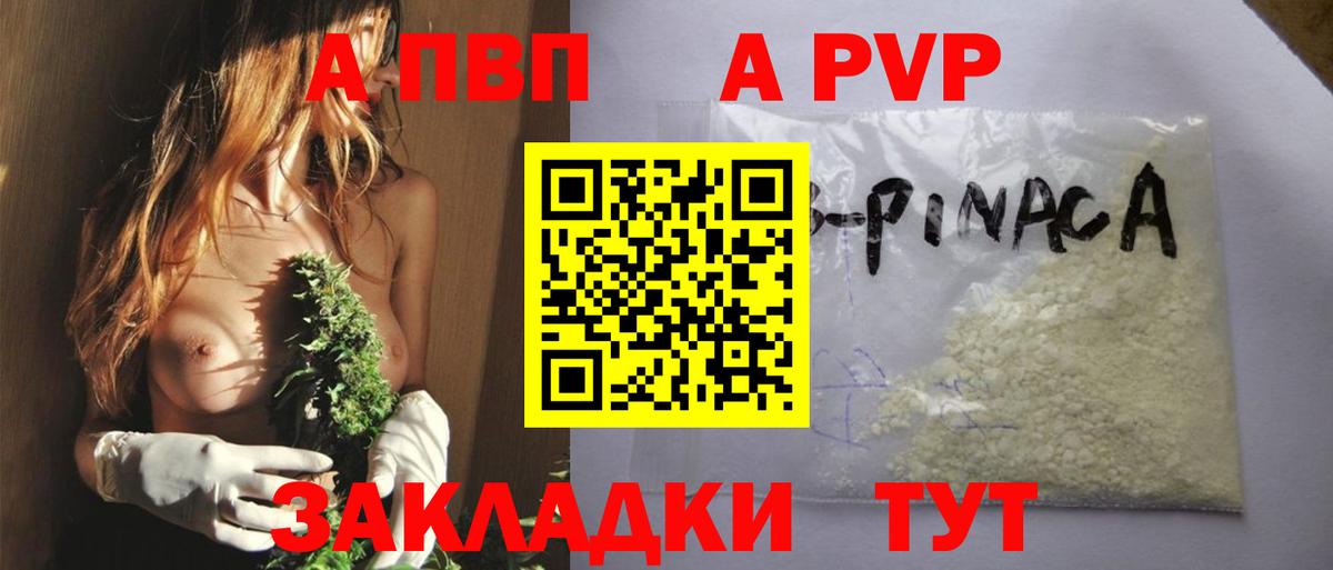 Альфа ПВП СК КРИС Холмск