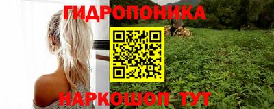 каннабис Новозыбков